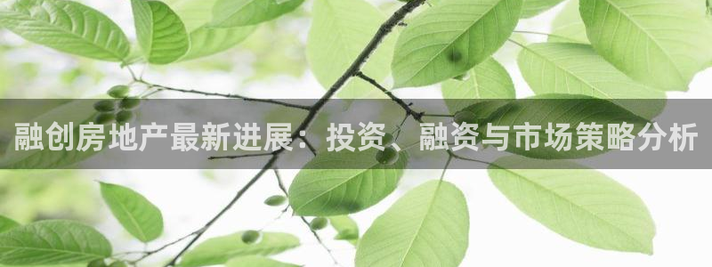 新宝5注册流程：融创房地产最新进展：投资、融资与市场策略分析