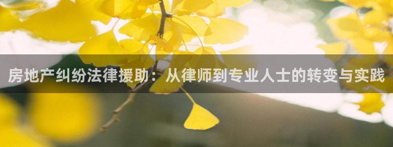 新宝5台卡：房地产纠纷法律援助：从律师到专业人士的转变与实践