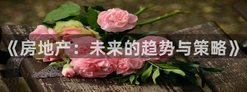 新宝5下载软件：《房地产：未来的趋势与策略》
