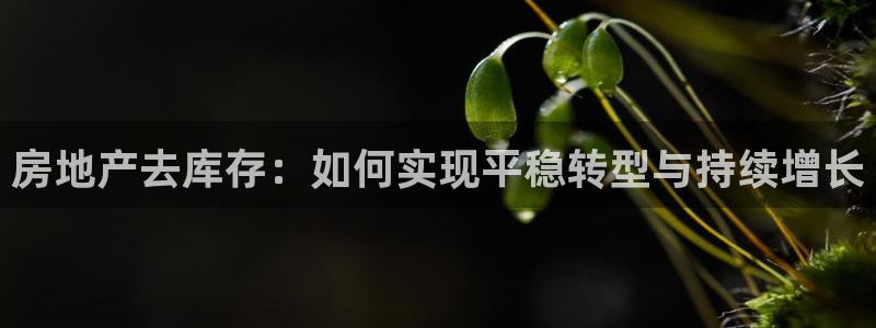 新宝5下载 迅雷下载：房地产去库存：如何实现平稳转型与持续增