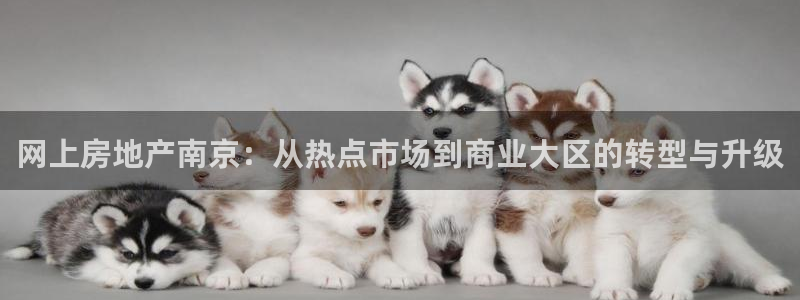 新宝m2O5O5O：网上房地产南京：从热点市场到商业大区的转