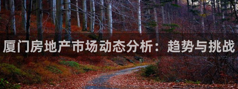 新5宝：厦门房地产市场动态分析：趋势与挑战