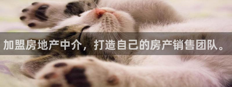 新宝5日：加盟房地产中介，打造自己的房产销售团队。