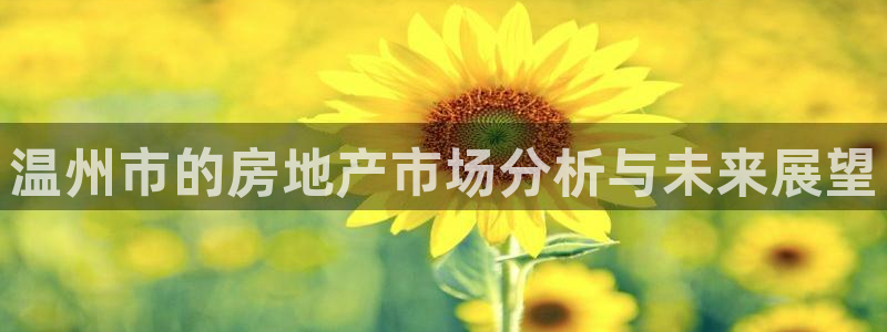 新宝5娱乐网址：温州市的房地产市场分析与未来展望