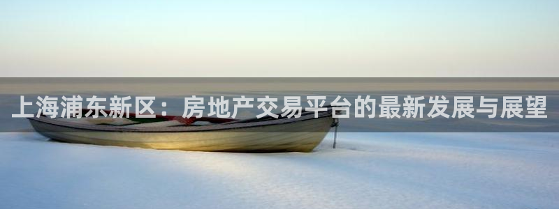 新宝5下载网址：上海浦东新区：房地产交易平台的最新发展与展望