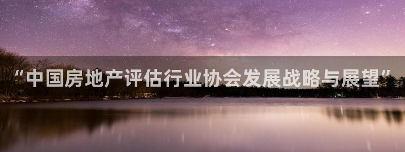新宝5登录入口网址：“中国房地产评估行业协会发展战略与展望”