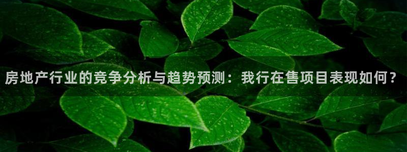 新宝5策略：房地产行业的竞争分析与趋势预测：我行在售项目表现