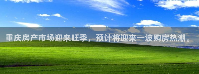 新宝5得74OOO5：重庆房产市场迎来旺季，预计将迎来一波购