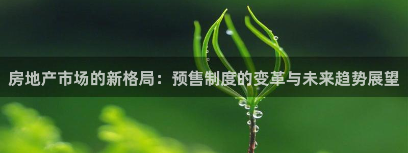 新宝5开好：房地产市场的新格局：预售制度的变革与未来趋势展望