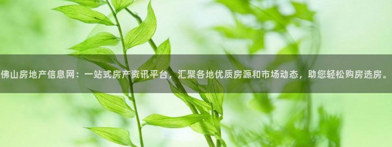 新宝5下载：佛山房地产信息网：一站式房产资讯平台，汇聚各地优