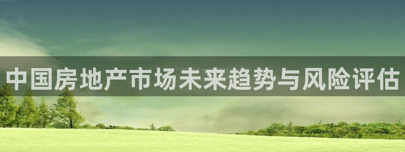 新宝5的网址：中国房地产市场未来趋势与风险评估