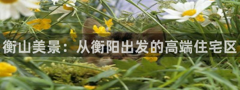 新宝5公司：衡山美景：从衡阳出发的高端住宅区