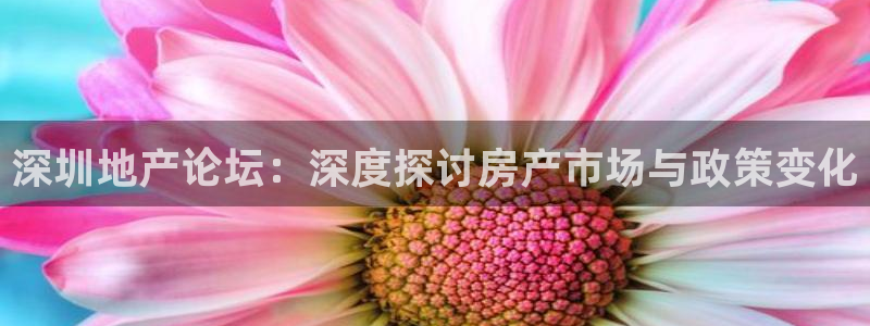新宝5手机下载：深圳地产论坛：深度探讨房产市场与政策变化
