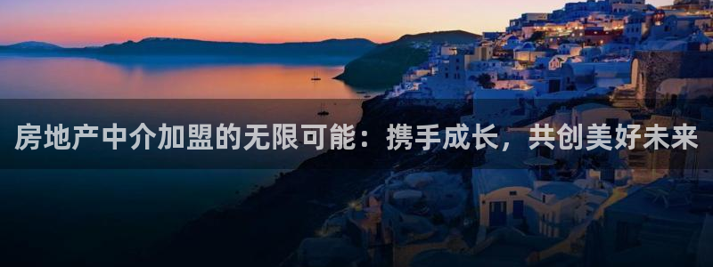 5新宝：房地产中介加盟的无限可能：携手成长，共创美好未来