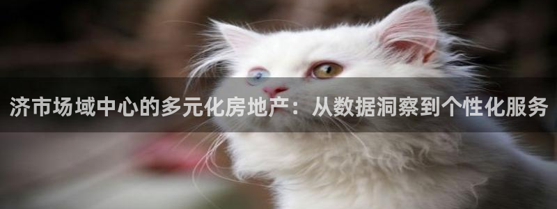 新宝5登录测速中心：济市场域中心的多元化房地产：从数据洞察到