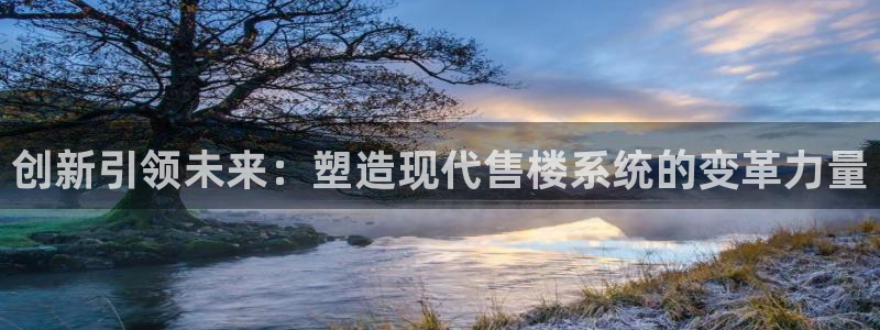 新宝5彩票娱乐平台：创新引领未来：塑造现代售楼系统的变革力量