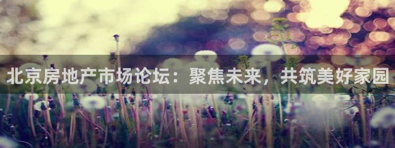 新宝5登陆：北京房地产市场论坛：聚焦未来，共筑美好家园