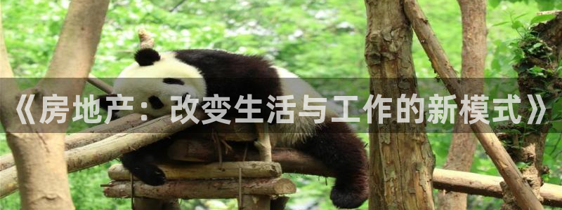 新宝5为啥开：《房地产：改变生活与工作的新模式》