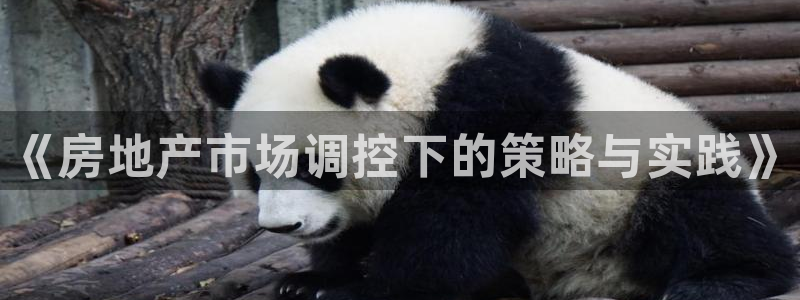 新宝5为啥开：《房地产市场调控下的策略与实践》