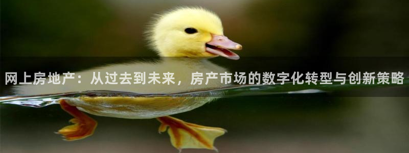 新宝5安卓版：网上房地产：从过去到未来，房产市场的数字化转型