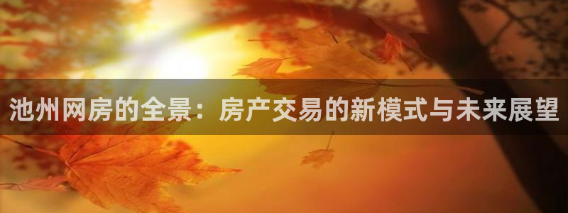 新宝5娱乐：池州网房的全景：房产交易的新模式与未来展望