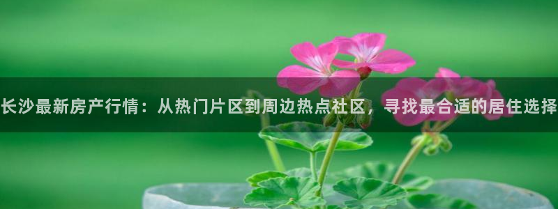 新宝5怎么代理：长沙最新房产行情：从热门片区到周边热点社区，