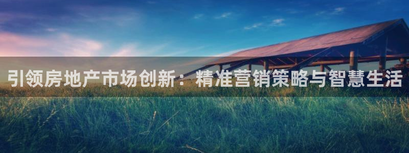 新宝3得74OO5：引领房地产市场创新：精准营销策略与智慧生