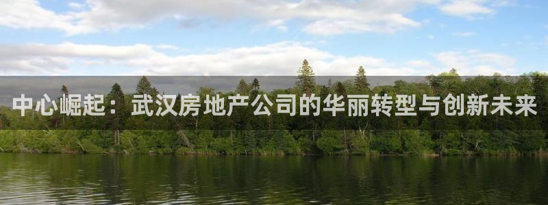 新宝5下载：中心崛起：武汉房地产公司的华丽转型与创新未来