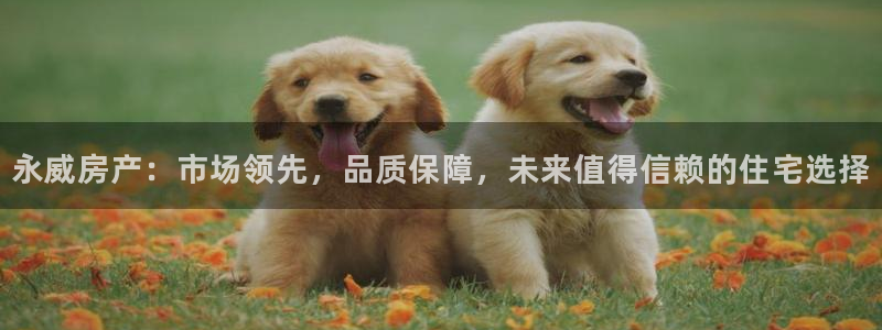 新宝5尤74OOO5：永威房产：市场领先，品质保障，未来值得