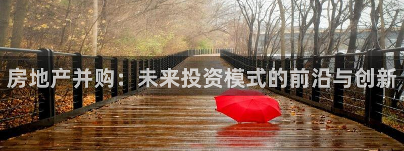 新宝5月：房地产并购：未来投资模式的前沿与创新