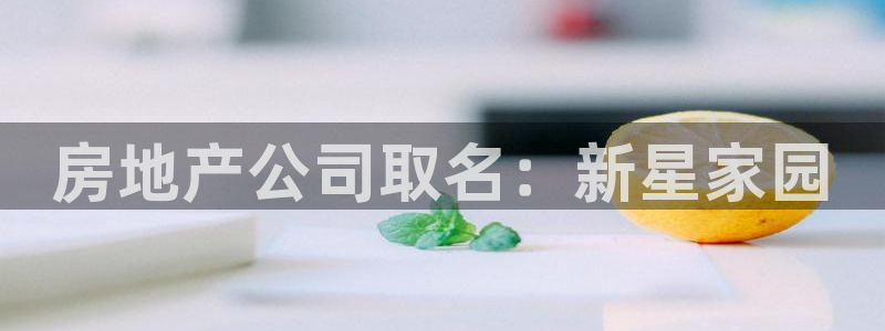 新宝5上来77542：房地产公司取名：新星家园