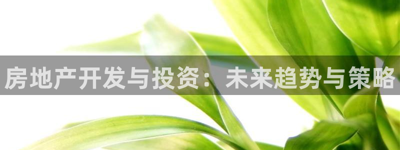 新宝5X：房地产开发与投资：未来趋势与策略