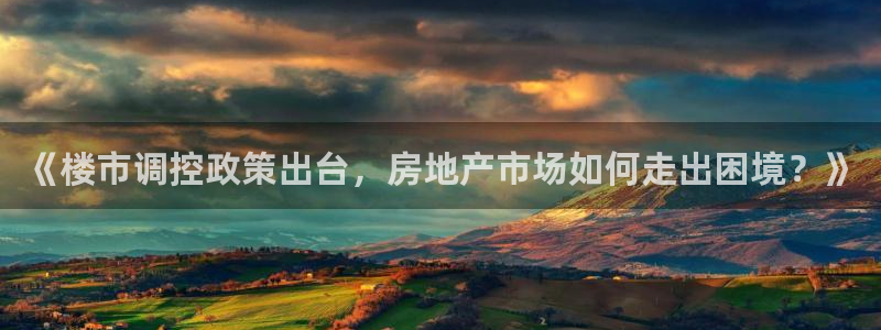 p5r新宝魔：《楼市调控政策出台，房地产市场如何走出困境？》