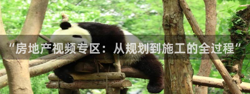 新宝5如何下载：“房地产视频专区：从规划到施工的全过程”