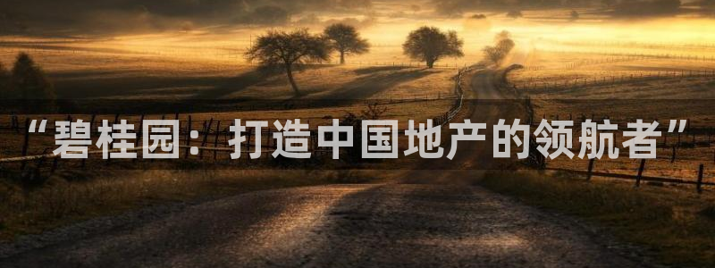 新宝5下载注册：“碧桂园：打造中国地产的领航者”