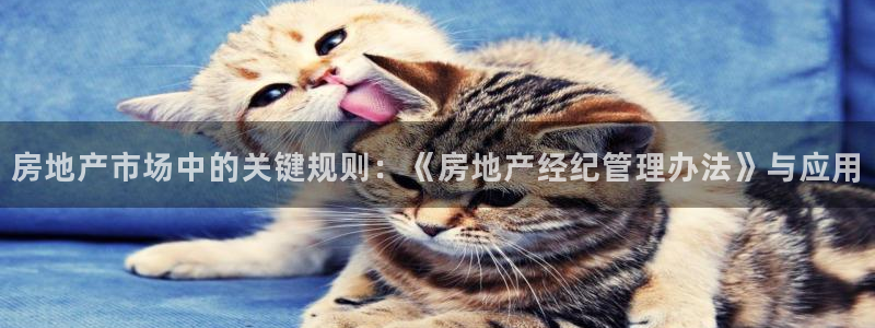 新宝5注册链接：房地产市场中的关键规则：《房地产经纪管理办法