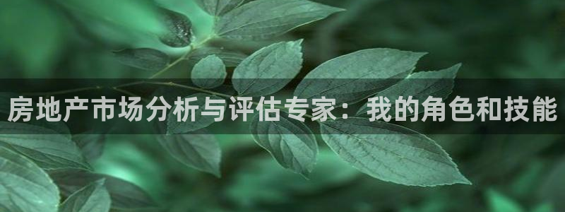 新宝5日740005蔻：房地产市场分析与评估专家：我的角色和