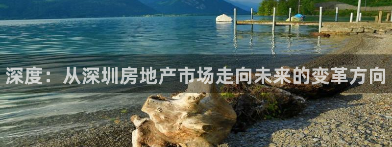 新宝j2O5O5O：深度：从深圳房地产市场走向未来的变革方向