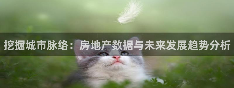 新宝测速5：挖掘城市脉络：房地产数据与未来发展趋势分析