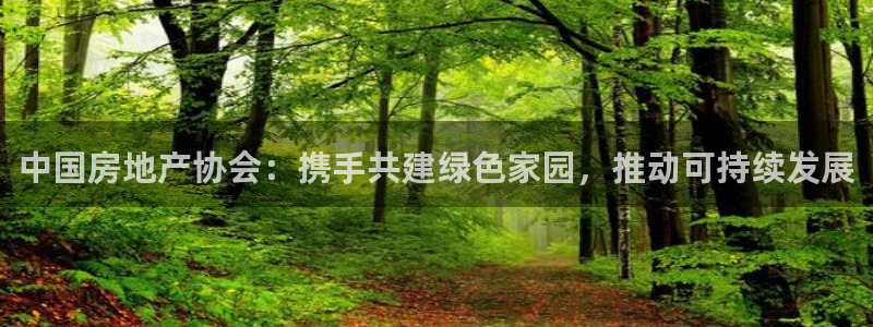 新宝5X：中国房地产协会：携手共建绿色家园，推动可持续发展