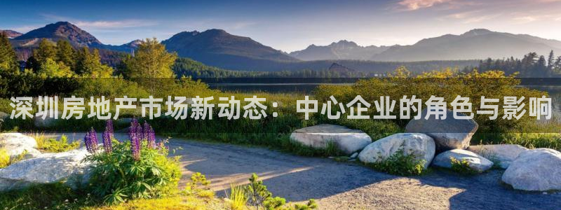 新宝5培训：深圳房地产市场新动态：中心企业的角色与影响