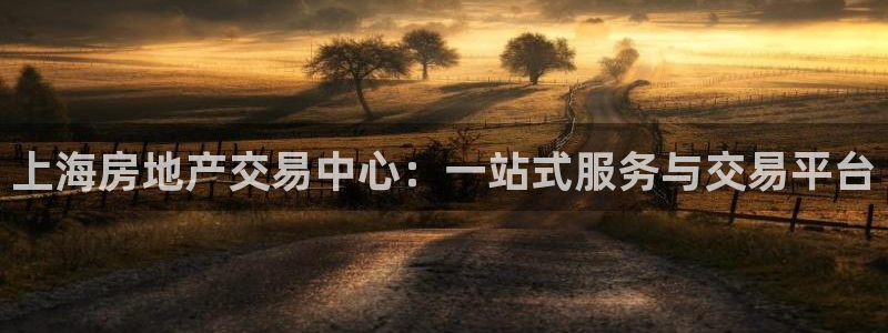 新宝5 测速：上海房地产交易中心：一站式服务与交易平台